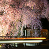 春の夜のバス停