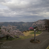 美の山公園