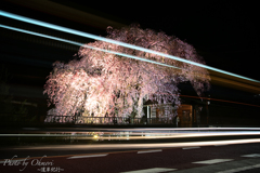 春の夜のバス停