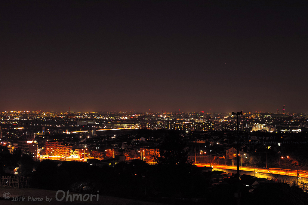 丘の上からの夜景　　SDIM0900