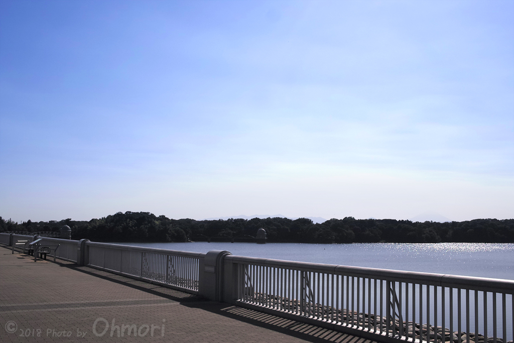SDIM8634 のコピー