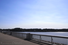 SDIM8634 のコピー