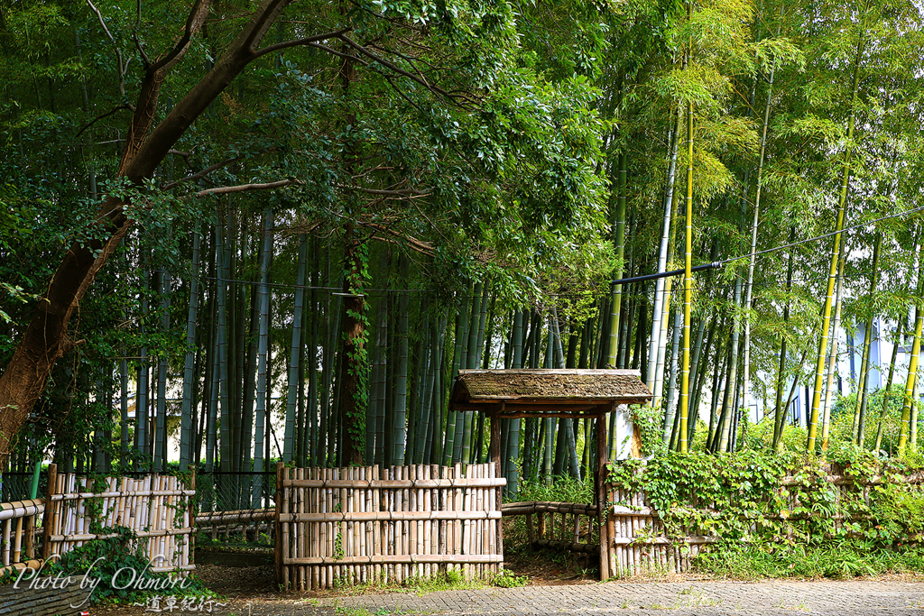 竹林公園