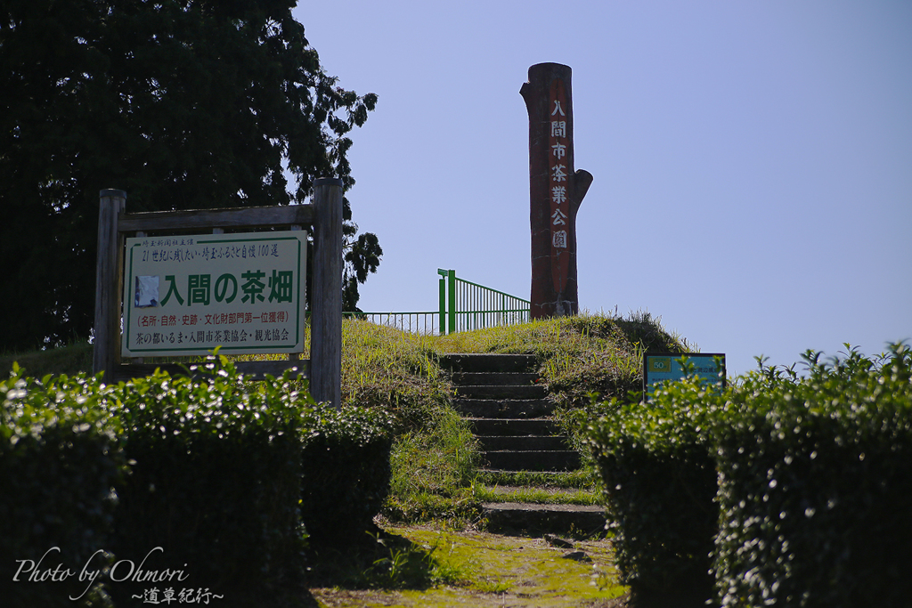 茶業公園