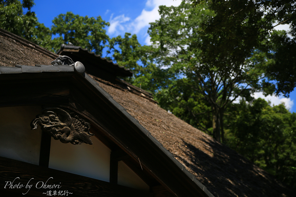 夏×茅葺き