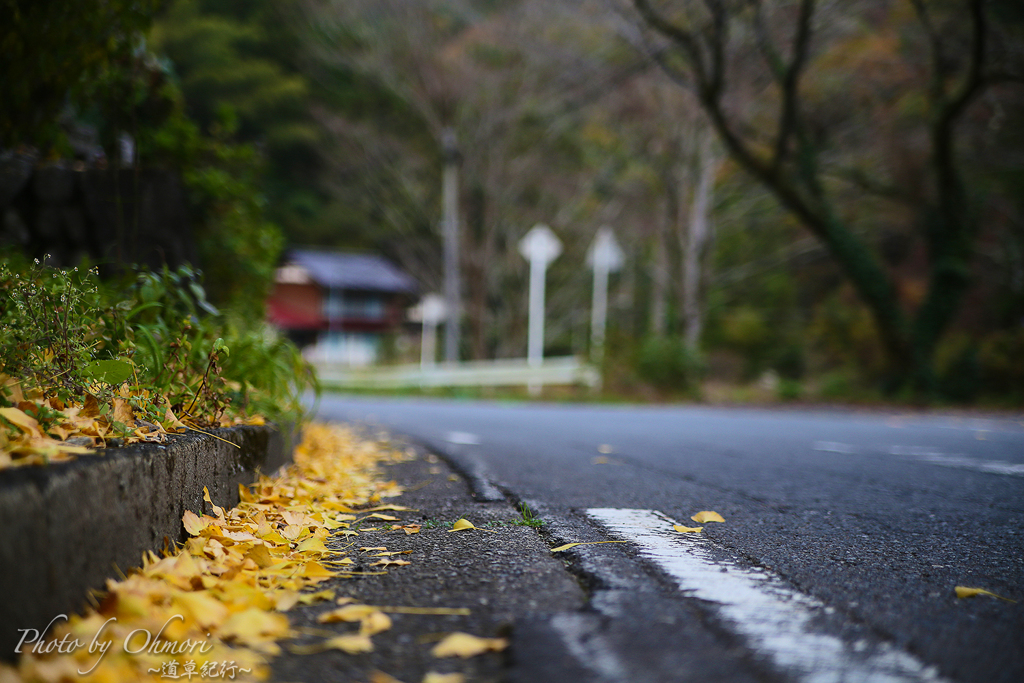 道端の秋