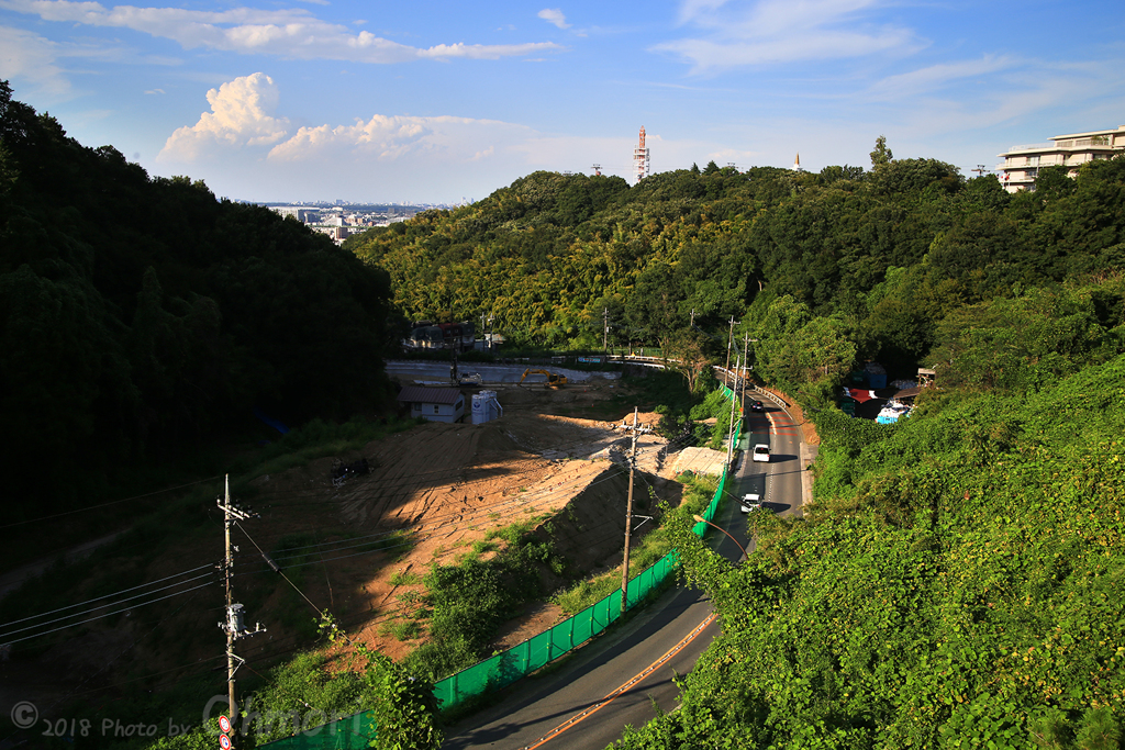 IMG_1056 のコピー