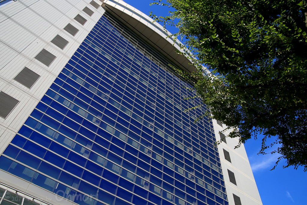 IMG_1023 のコピー