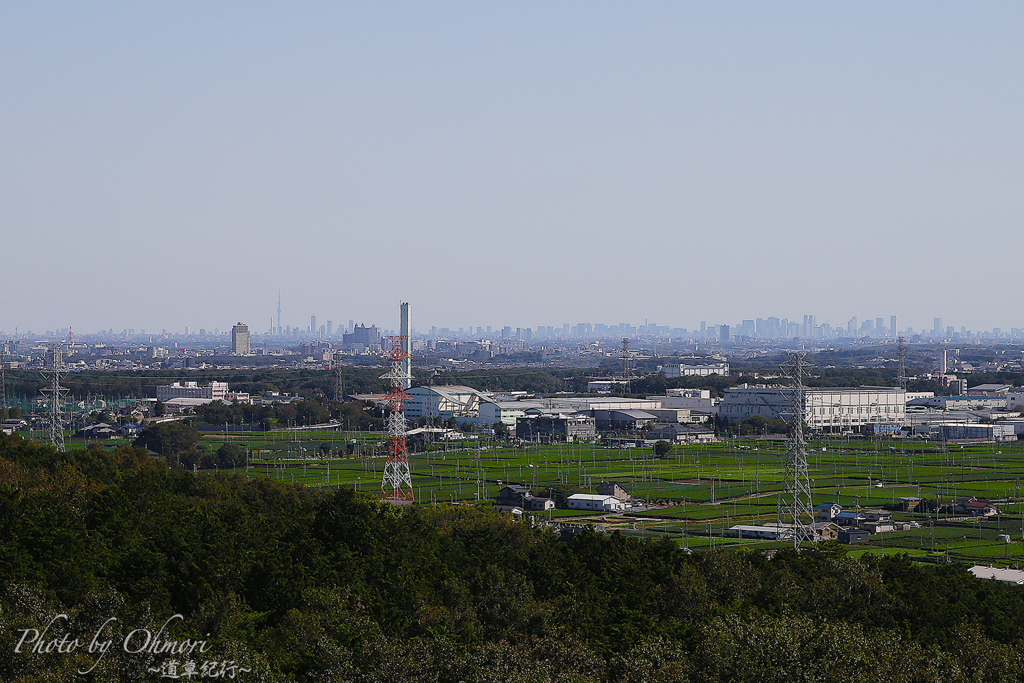 桜山展望台