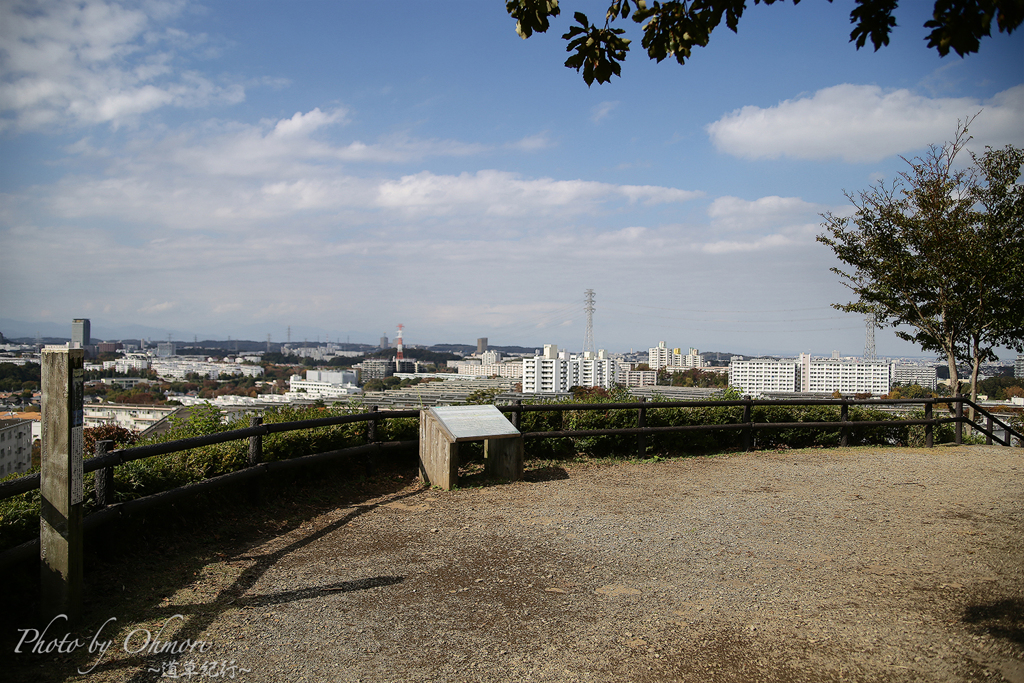 防人見返りの峠