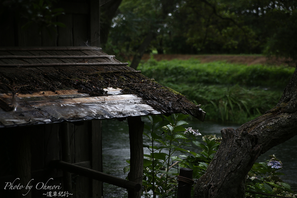 雨の水車小屋