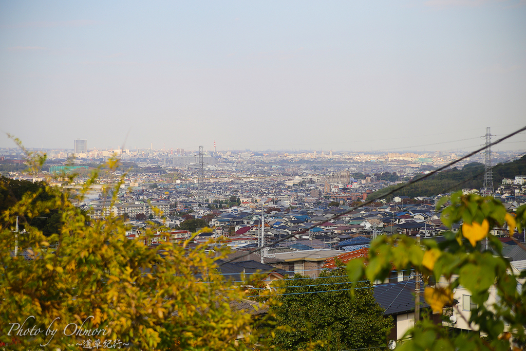 IMG_5677 のコピー