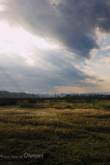 多摩川　光芒