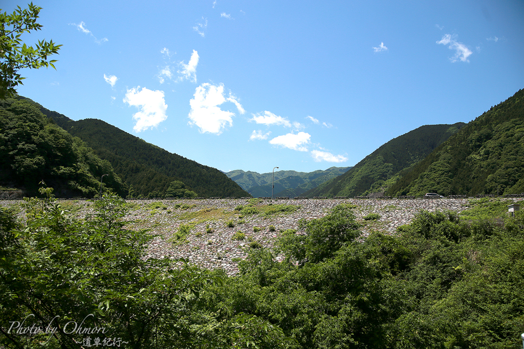 IMG_6905 のコピー