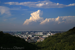 IMG_1059 のコピー