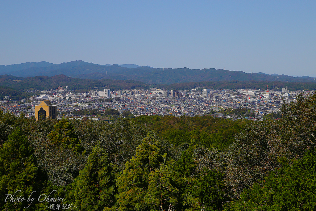 IMG_3790 のコピー