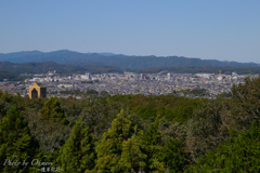 IMG_3790 のコピー