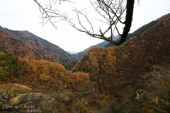 染まる山々