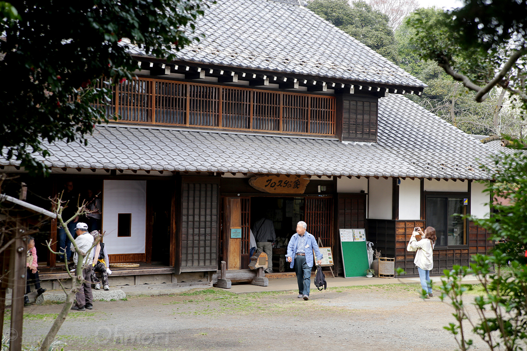 IMG_3733 のコピー