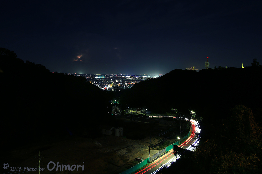 IMG_1231 のコピー