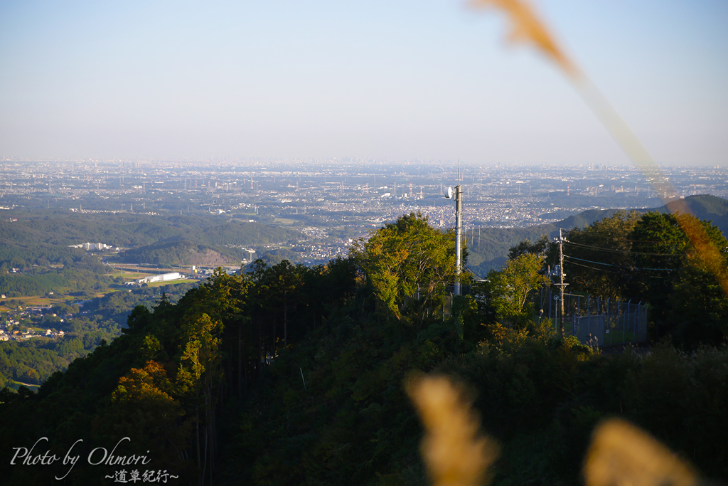 IMG_4035 のコピー