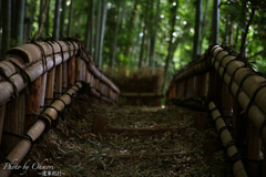 住宅街の嵯峨野