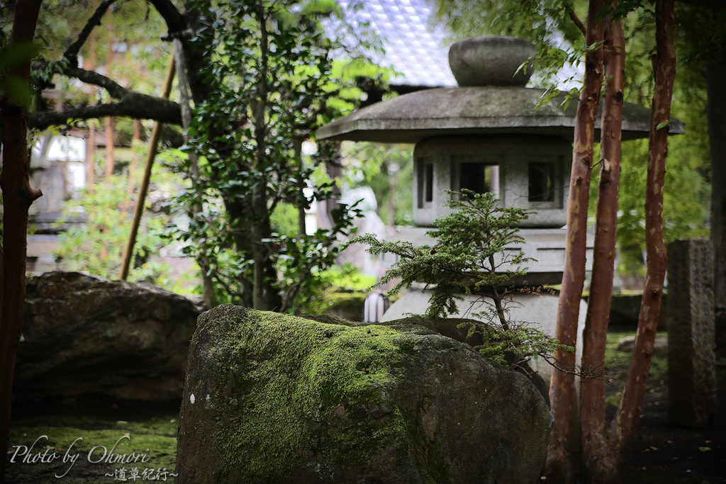 灯籠と苔生した庭石 By 道草紀行 Id 写真共有サイト Photohito