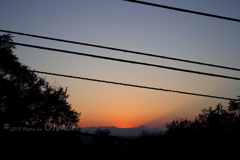 木々の隙間から富士山