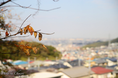 町の片隅で