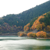 秋の湖の畔