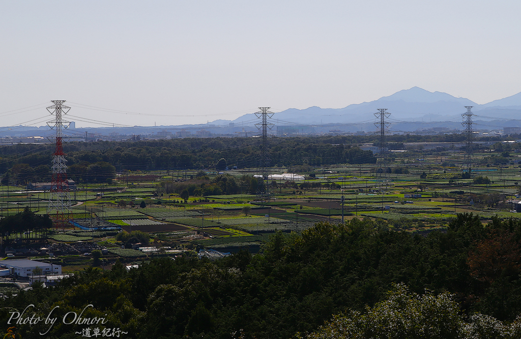 IMG_3789 のコピー
