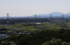 IMG_3789 のコピー