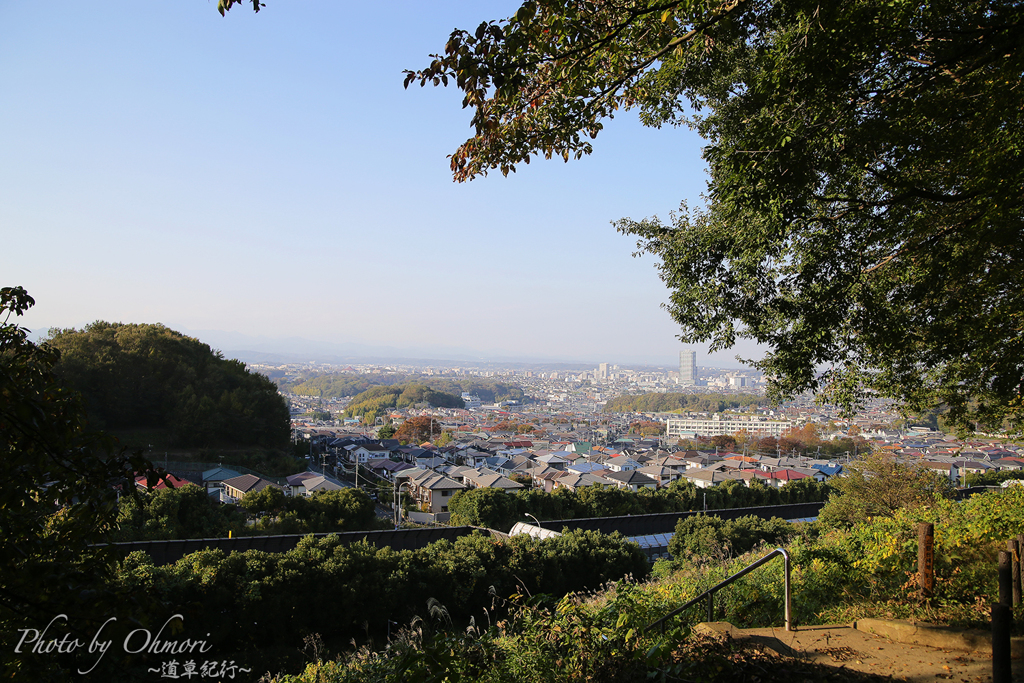 北野台緑地No5