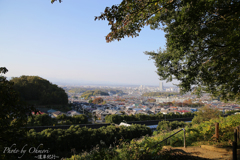 北野台緑地No5
