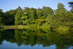 SDIM8675 のコピー