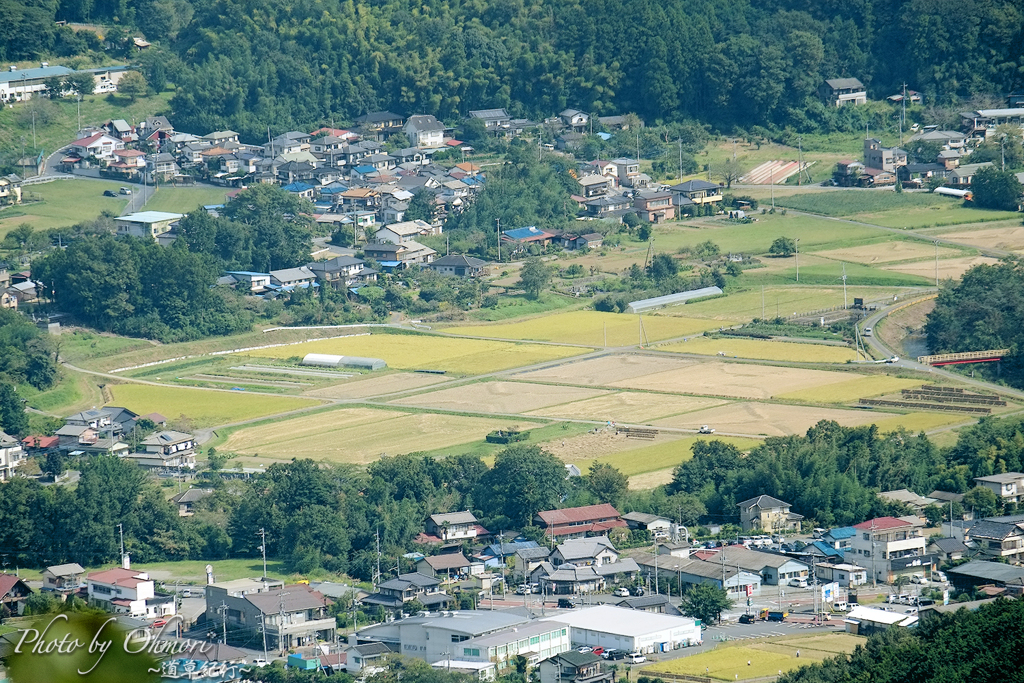 DSCF6779 のコピー