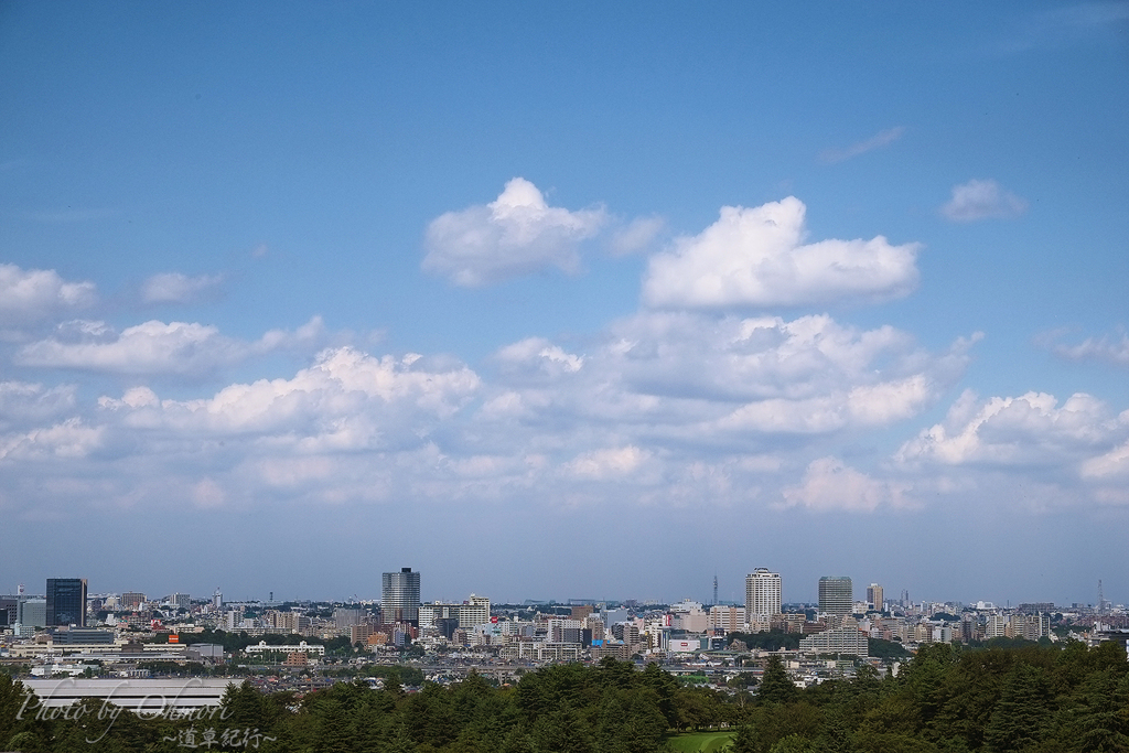 DSCF3605 のコピー