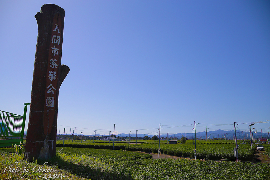 茶業公園