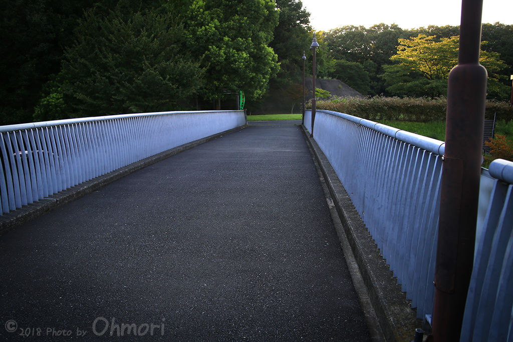 IMG_1099 のコピー