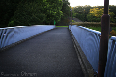 IMG_1099 のコピー