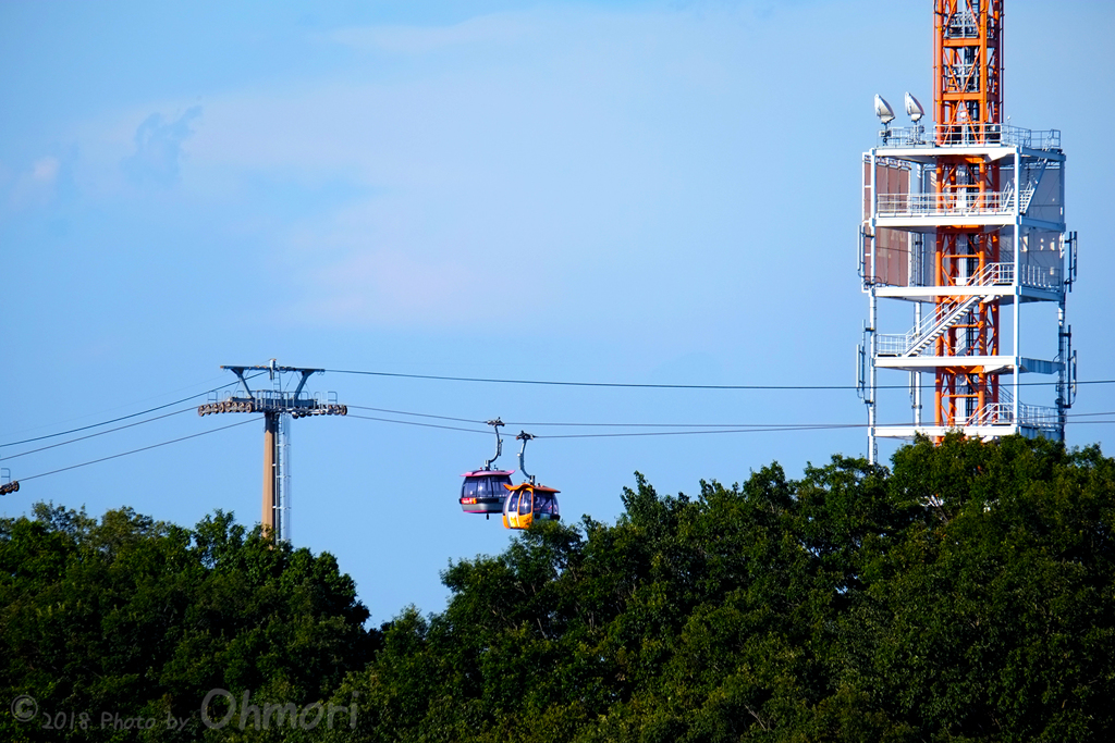 DSCF5576 のコピー