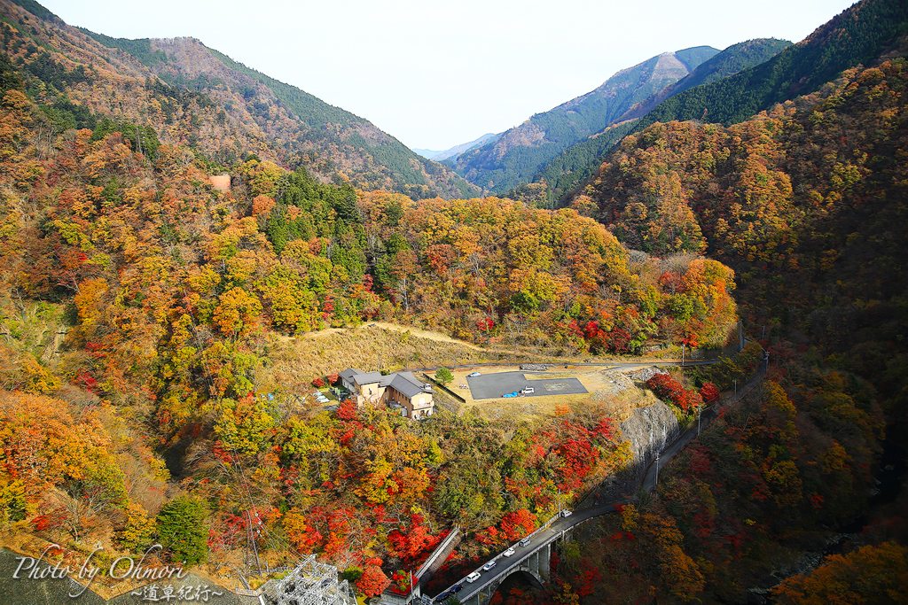 秋の山