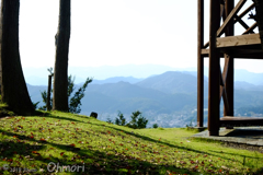 小川町　見晴らし