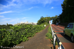 IMG_1054 のコピー