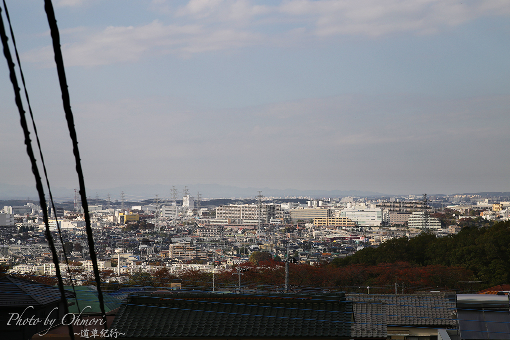 IMG_5676 のコピー