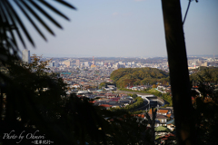 山中より