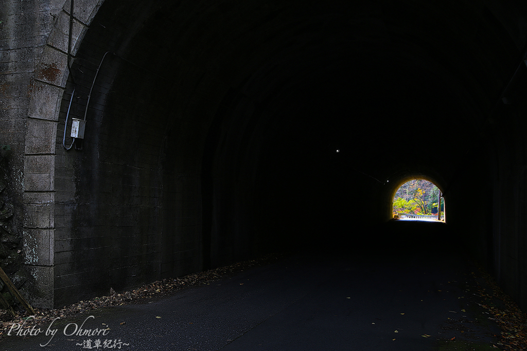 トンネル越しの秋