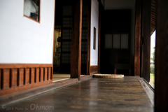 IMG_3820 のコピー