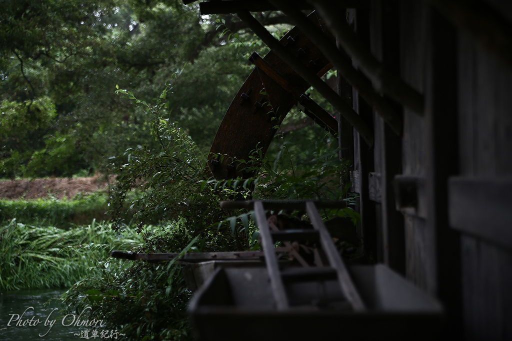 雨の水車小屋