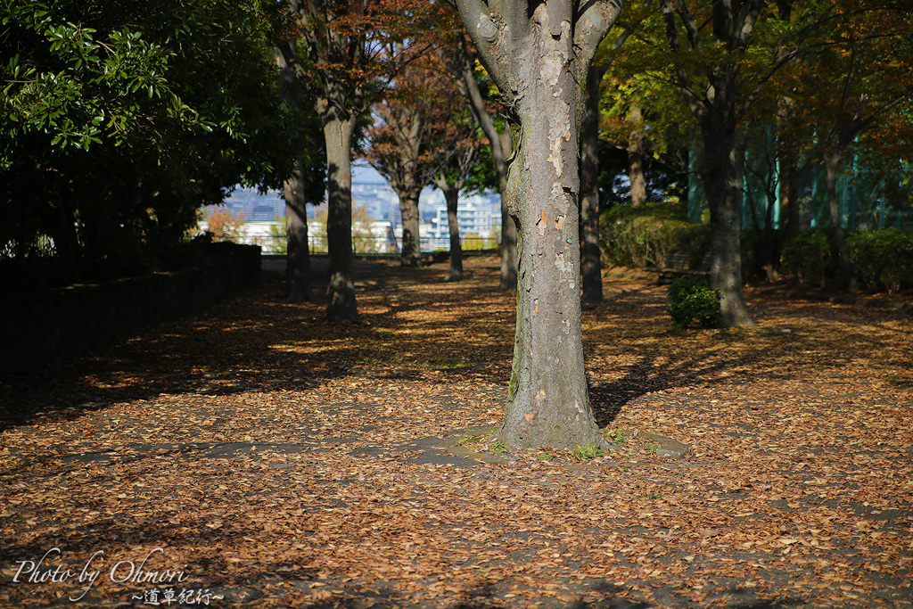 諏訪北公園